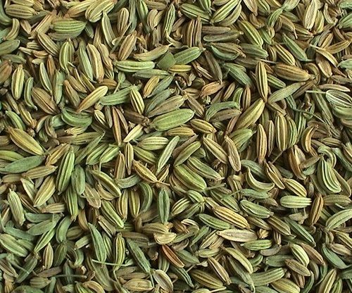 Fennel Seed