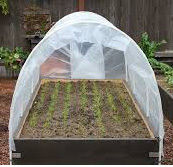 Green House Covering Sheet