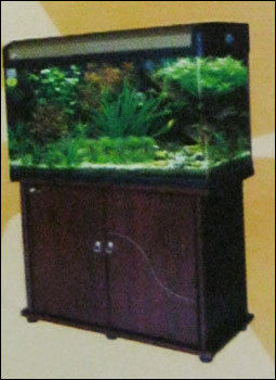 Fish Aquarium (Rhm 100)