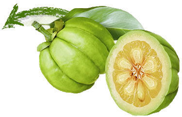 Garcinia Fruit