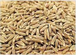 Cumin Seeds