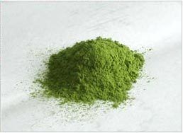 Fennel Powder - Aromatic Green Seeds, High Quality, Pungent Flavor and Pleasant Odor