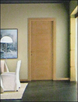 Veneer Doors (Ed22)