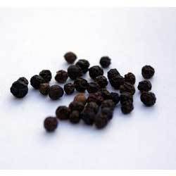 Black Pepper