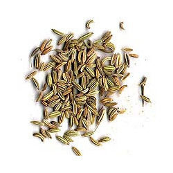 Fennel Seeds