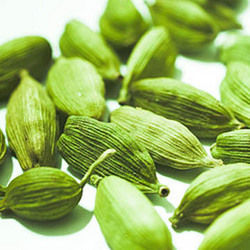 Jacquard Green Cardamom