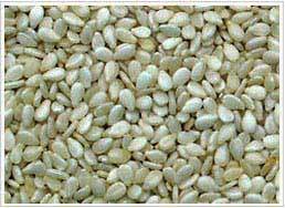 Hulled Sesame Seeds 