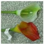 Artificial Single Stem Flower (77pvc003)