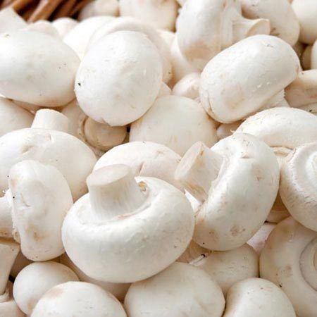 Fresh Mushroom - Organically Cultivated, Rich Source of Vitamins and Minerals | Quality Packaging, Suitable for Various Culinary Dishes