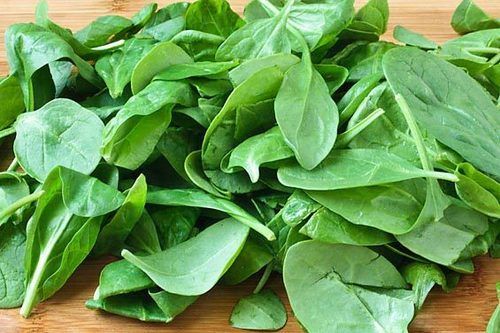 Fresh Spinach - Organically Cultivated Superfood Packed with Vitamins A, C, E, K | Delivered Timely in Quality Packaging for Maximum Freshness