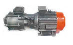 SRF Monoblocks Pumps