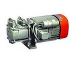 Vaccum KV Pumps