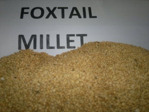 Foxtail Millet (Thenai)