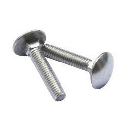 SS Carriage Bolt