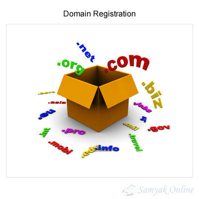 Domain Registration Service