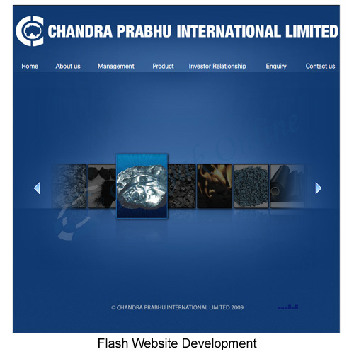 Flash Development Service
