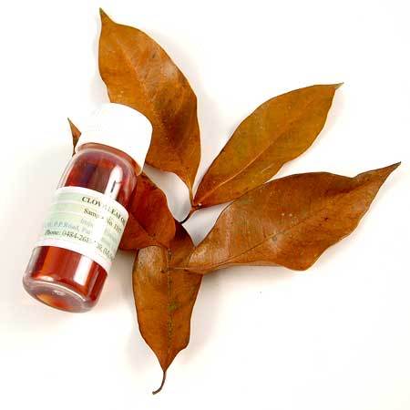 Clove Leaf Oil