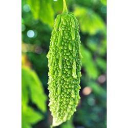 Karela Seeds (Momordica-Charantia)