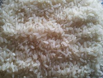 Swarna Raw Rice