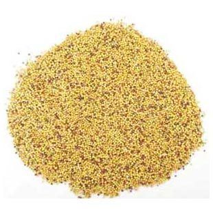 The Rapeseed Meal