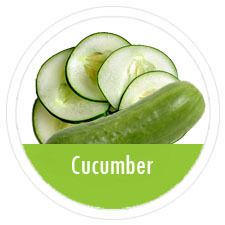 Cucumber