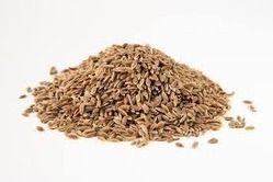 Dill Seed