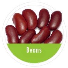 Gads Beans