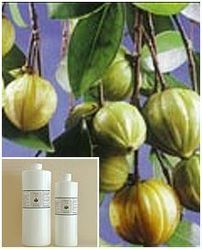 Garcinia Cambogia Rind