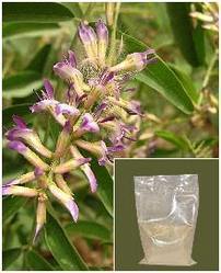 Glycyrrhiza Glabra Root