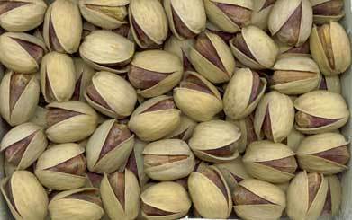 Iranian Pistachio