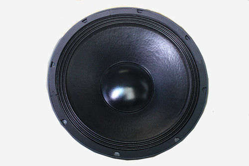 12 Inch Speaker