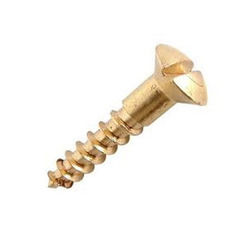 Raised Head Screws