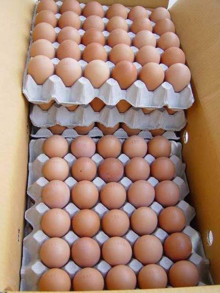 सफेद और भूरे रंग के ताजे चिकन अंडे