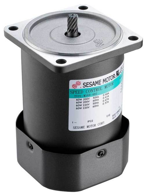 Separated Type Motor By SESAME MOTOR CORP.