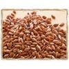 Flax Seeds