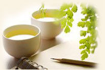 EGCG - Green Tea Extract