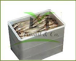 Fish Thermocol Boxes