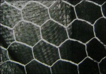 Hexagonal Mesh