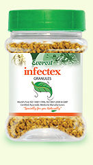 Infectex Granules