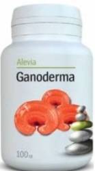 Ganoderma Capsule