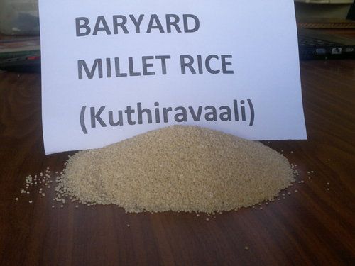 Barnyard Millet Rice