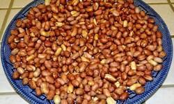 Roasted Groundnut