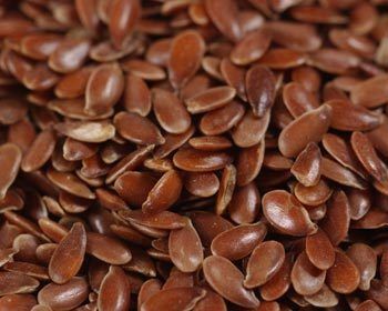 Flax Seed