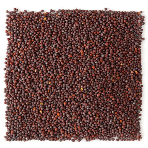 Mustard Seeds (Black-Brown)