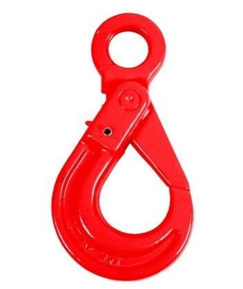 G80 European Type Eye Self-locking Hook