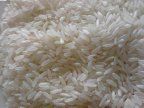 Sughandha Basmati Rice