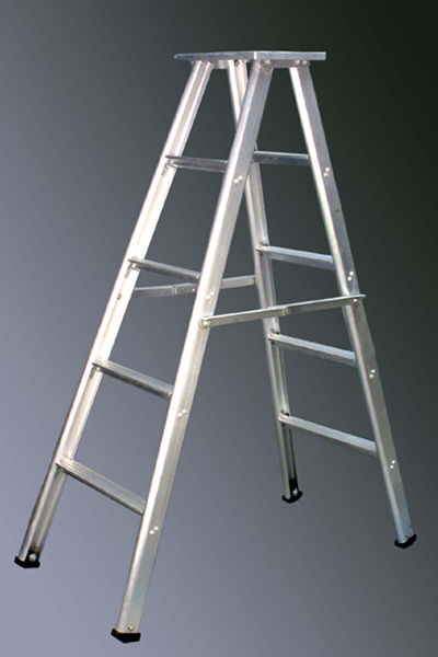 Self Support Ladder