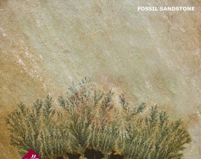 Fossil Sandstone - Premium Quality Natural Stone, Durable and Affordable Selection