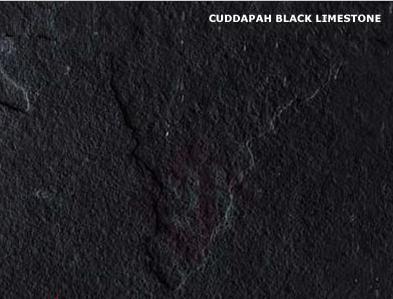 Cuddapah Black Limestone