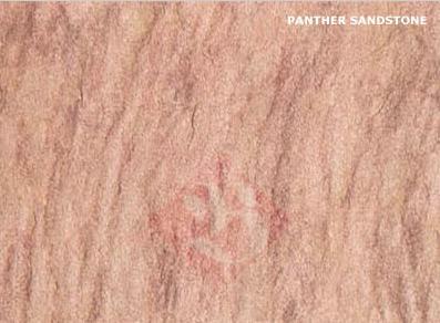 Panther Sandstone - High-Quality Natural Stone, Durable and Elegant Design